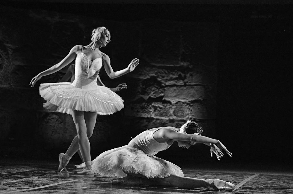 Фотография автора Ryadh Gharbi