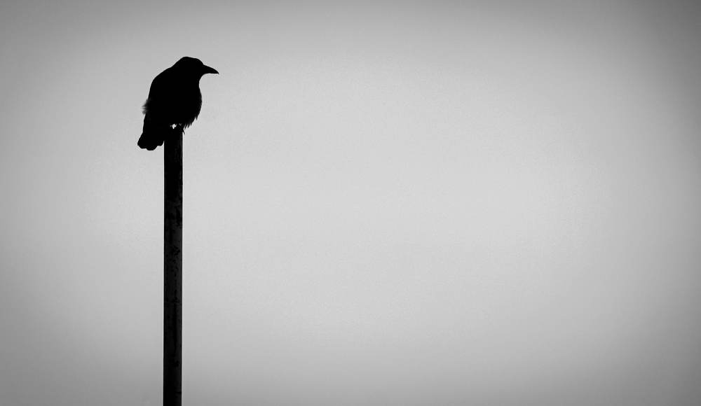 Фотография автора Hadi Nasirian