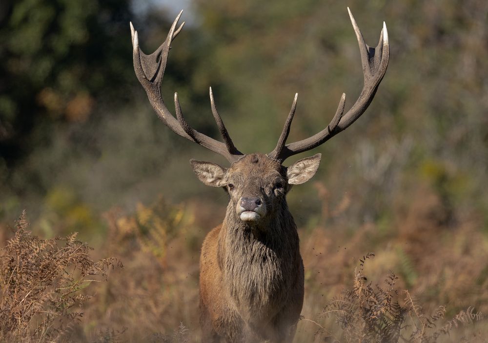 Фотография автора MARIA KULA