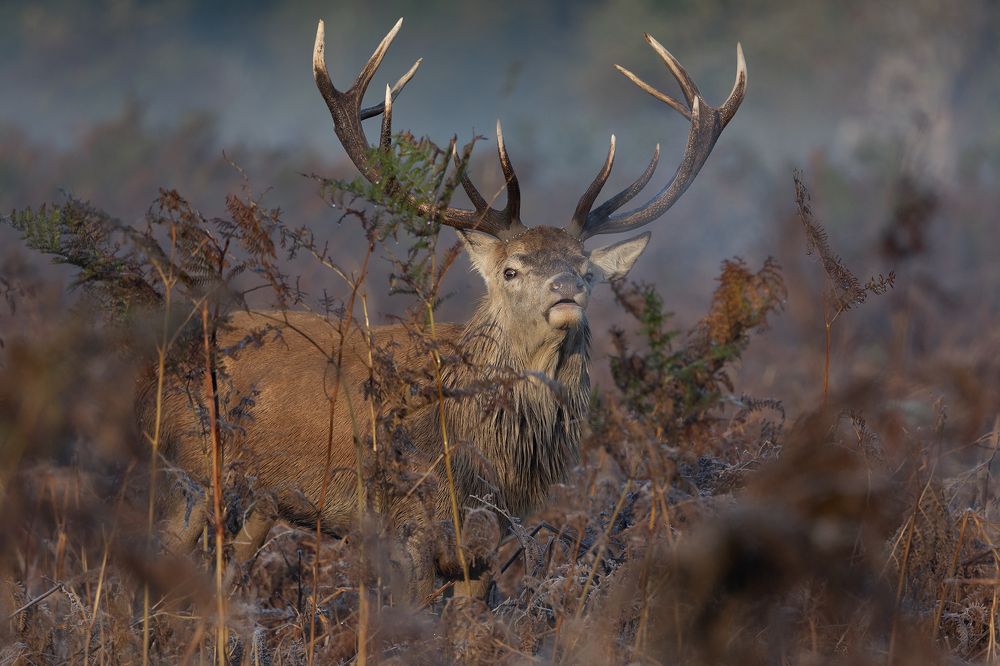 Фотография автора MARIA KULA