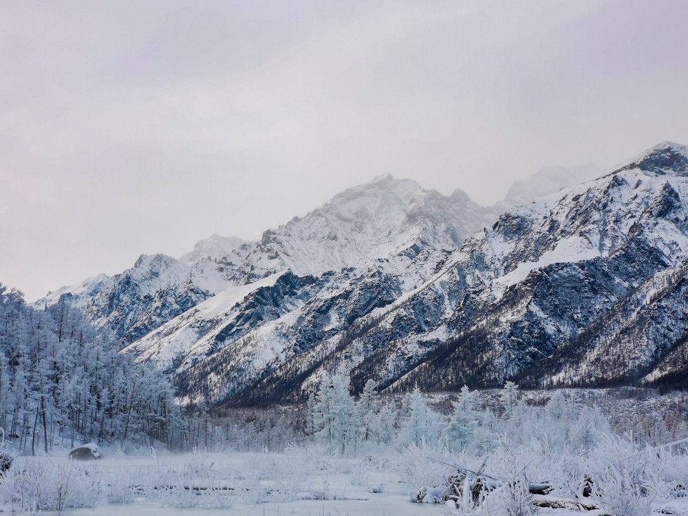 Photo #9024260