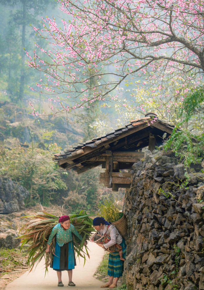 Photograph by Kevin Nguyen