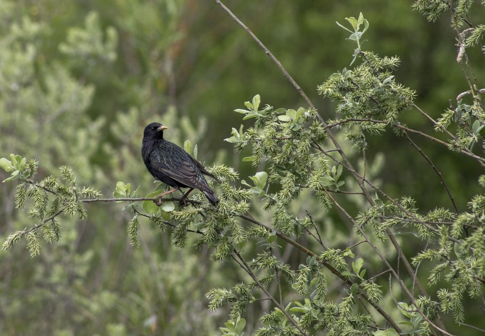 Photograph by Вера Почкалина