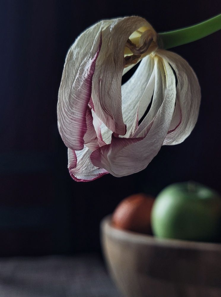 Photograph by Валерия Гуртовая