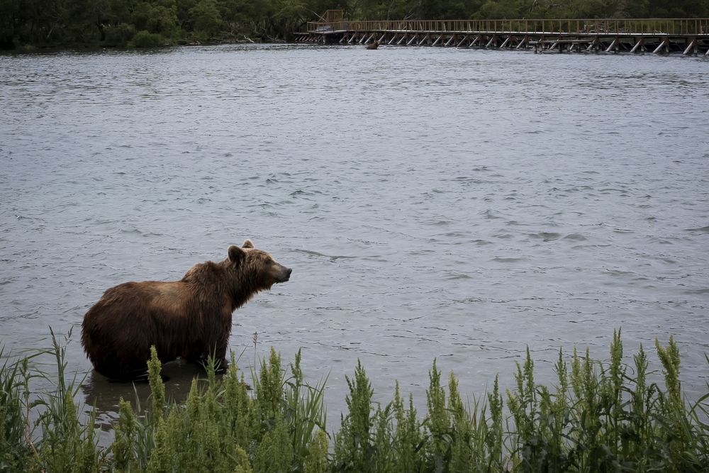 Photograph by Ирина Корнева