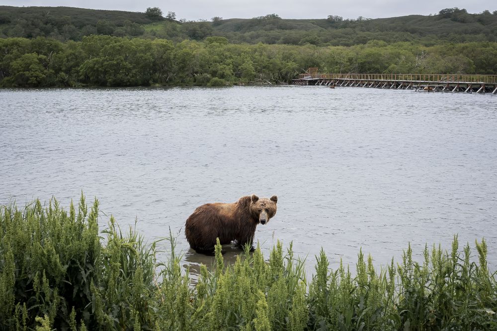 Photograph by Ирина Корнева