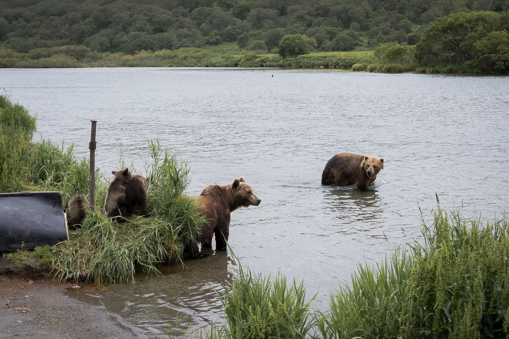 Photograph by Ирина Корнева