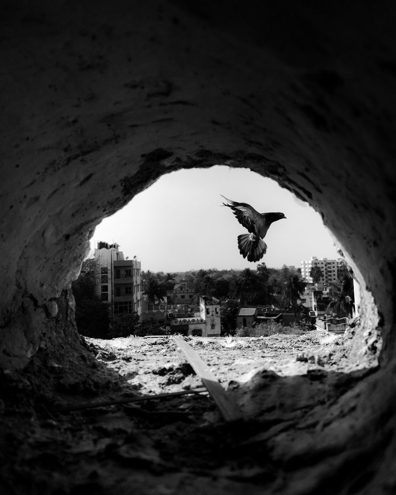 Фотография автора Anurag Banerjee