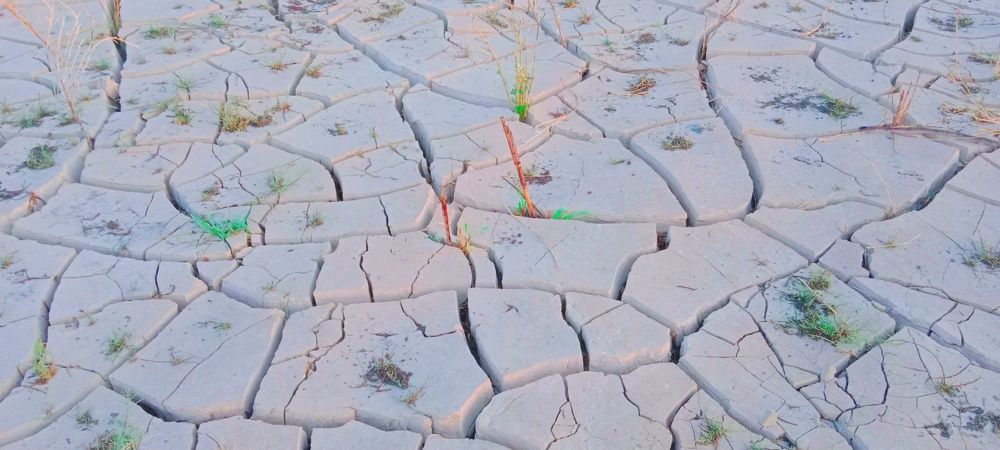 Photograph by Dost Ali