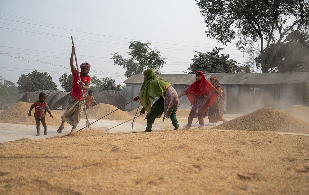 Photograph by Abdullah - AL - Faruque