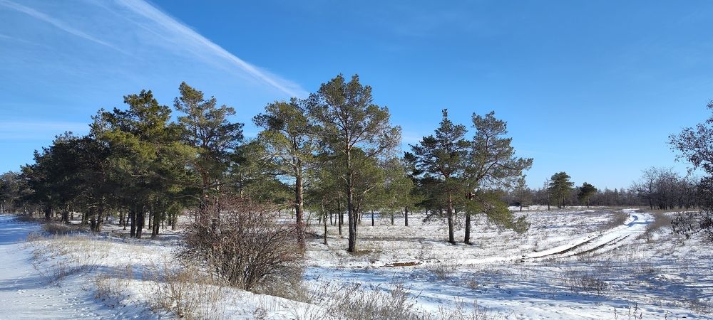 Photograph by Ирина Шибитова