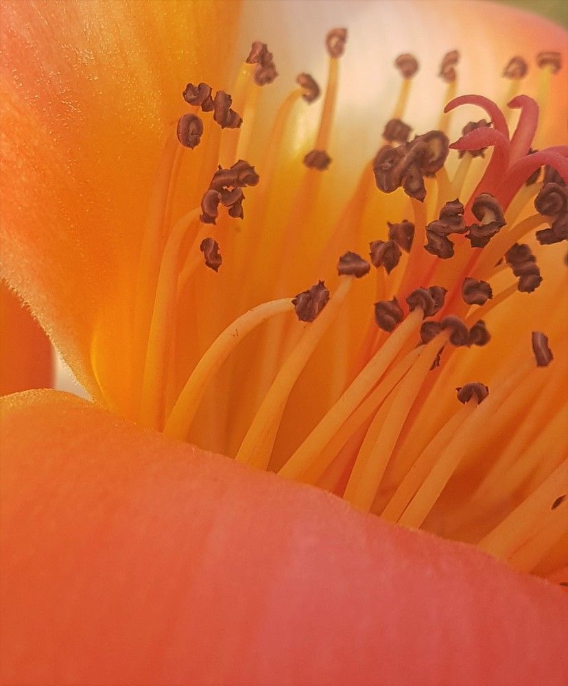 Фотография автора Ася Бабушкина