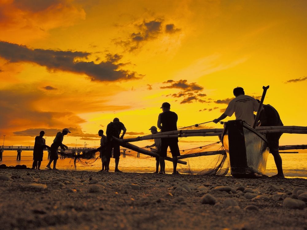 Photograph by Reynaldo Maynes