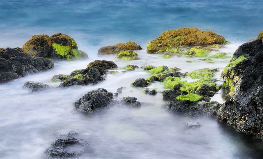 Фотография автора Tính Nguyễn