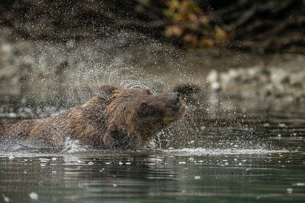 Photograph by Sunny Saha Pramanick