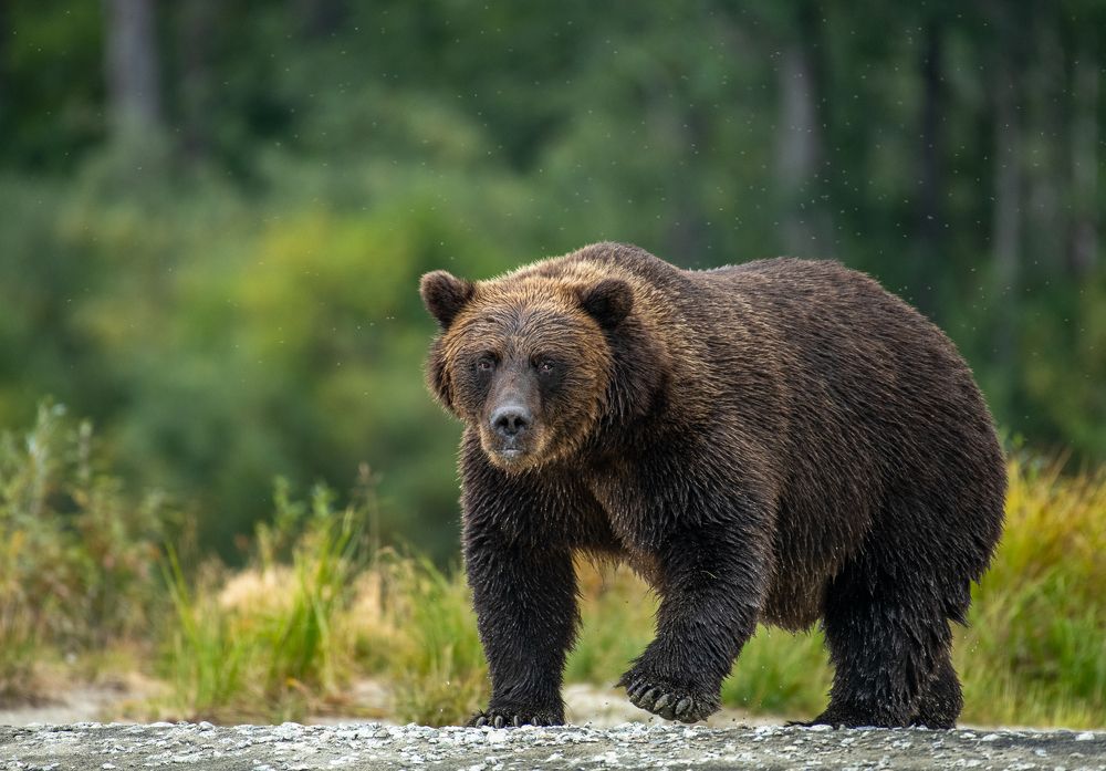 Photograph by Sunny Saha Pramanick