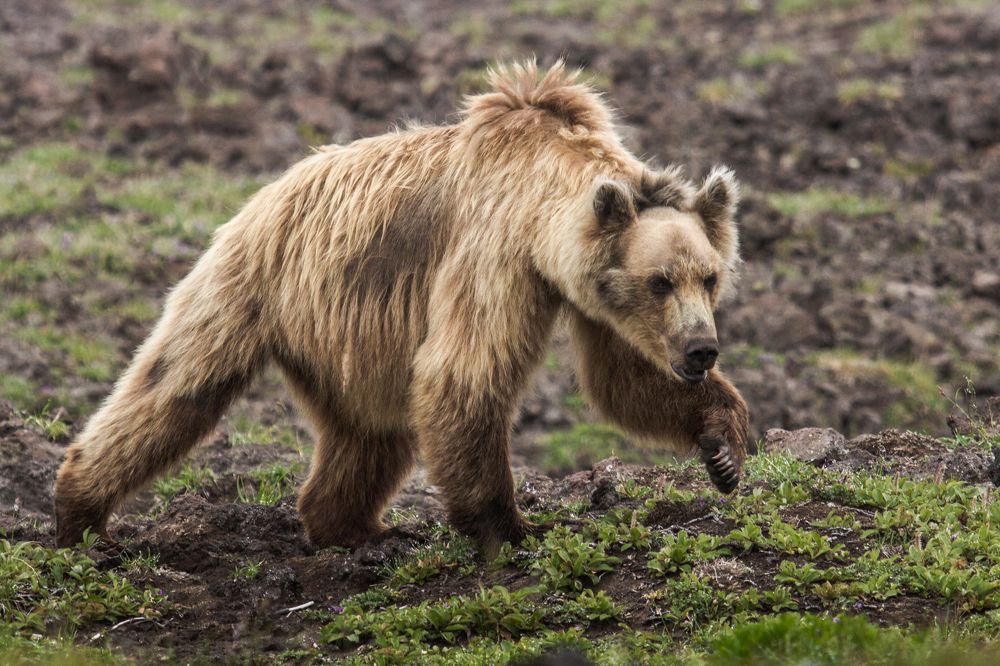 Photograph by Слащилина Нина