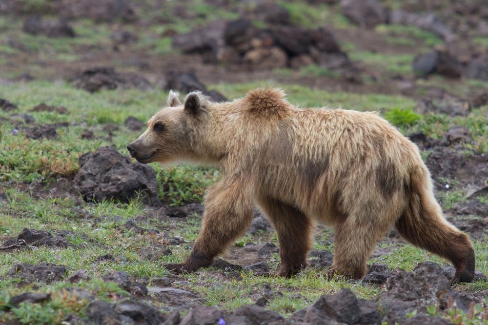 Photograph by Слащилина Нина