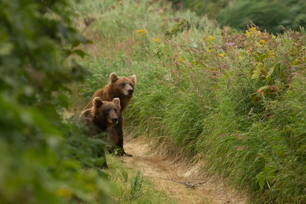 Photograph by Слащилина Нина