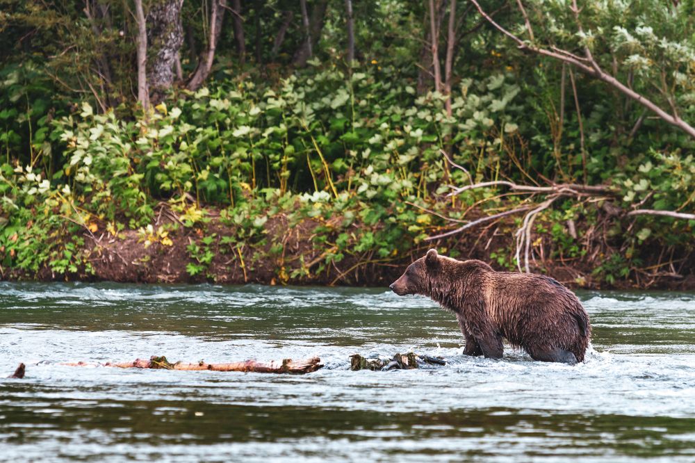 Photograph by Слащилина Нина