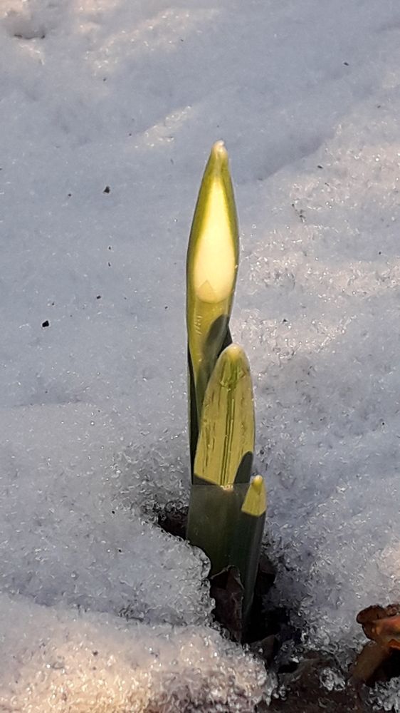 Photograph by Татьяна Солтан