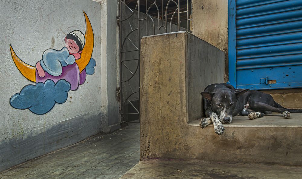 Photograph by Saumi Biswas