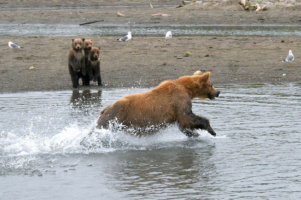 Photograph by Татьяна Спицына