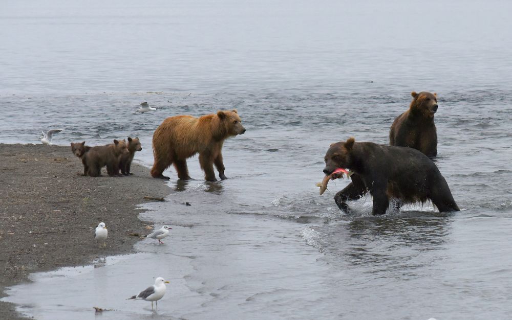 Photograph by Татьяна Спицына