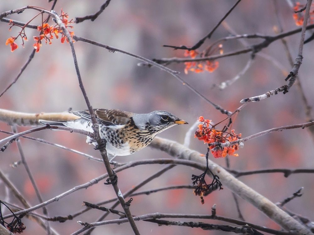 Photograph by Юлия Серазетдинова