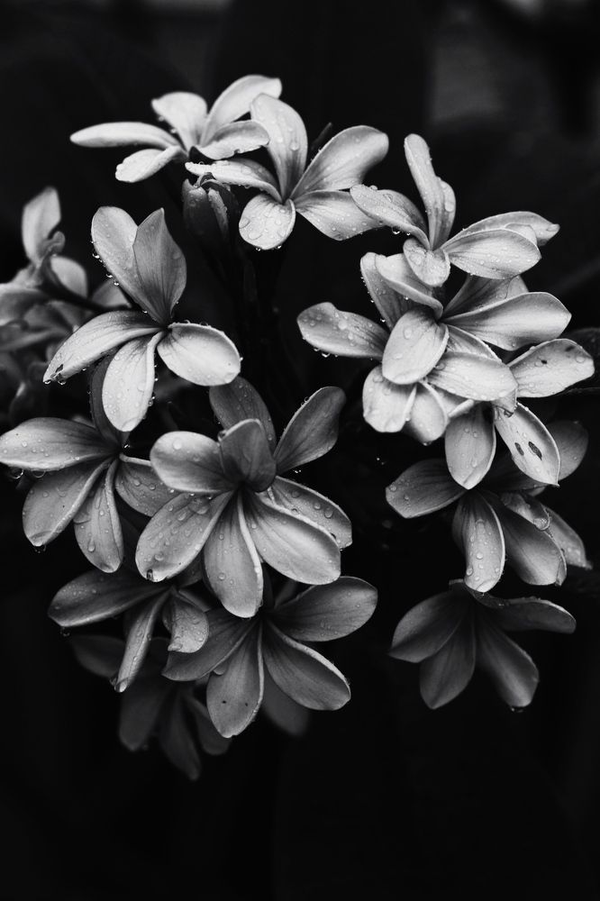 Photograph by Валентина Козлова
