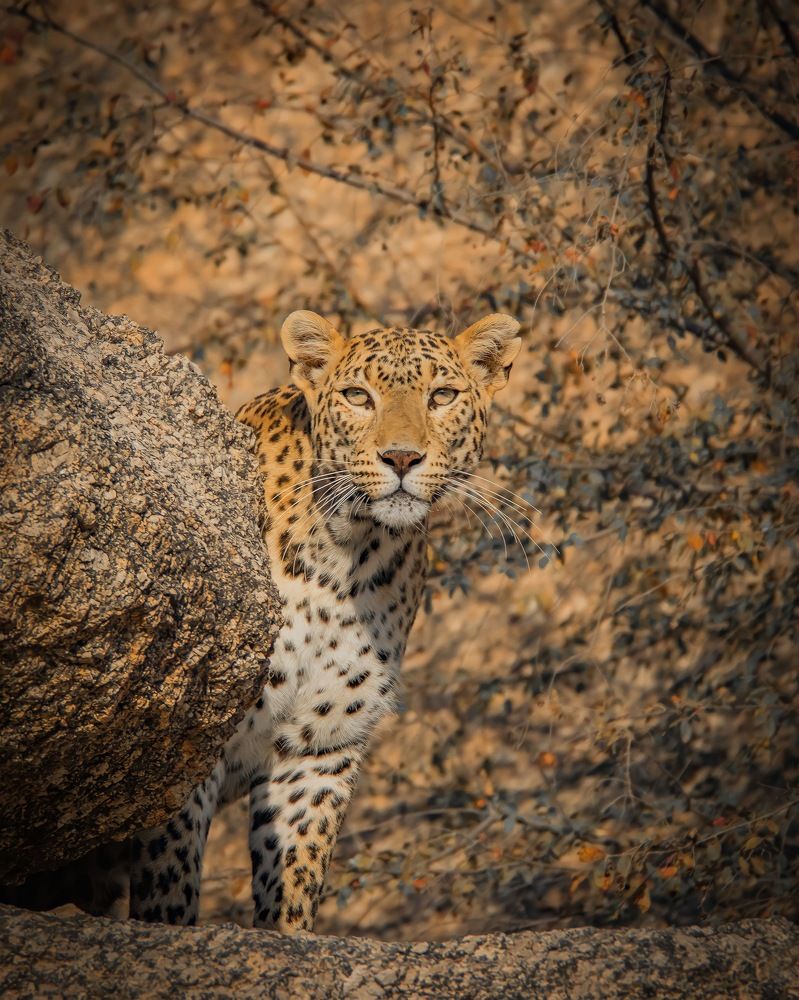 Photograph by Muhammad Saif khan