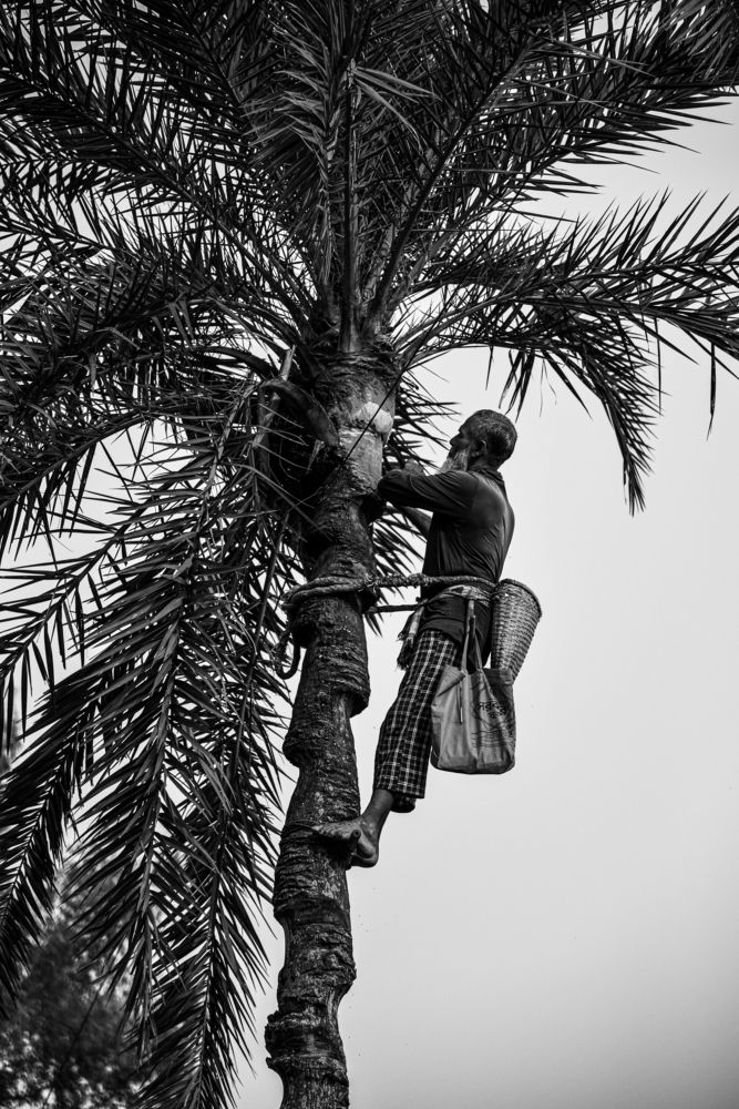 Preparation for collecting juice