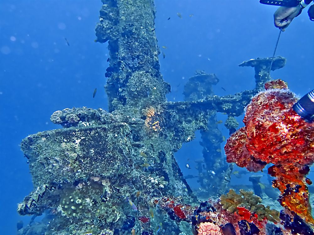 Photograph by Дмитрий