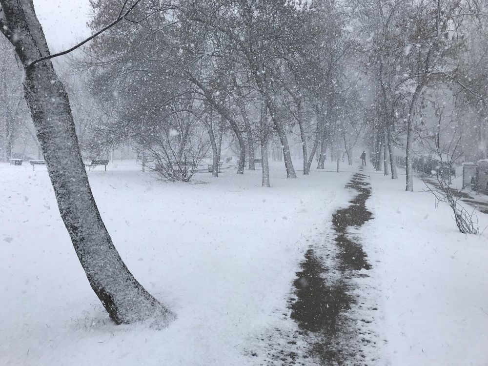 Photograph by Валерий Козуб