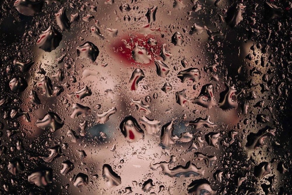 Фотография автора Рыбаков Илья