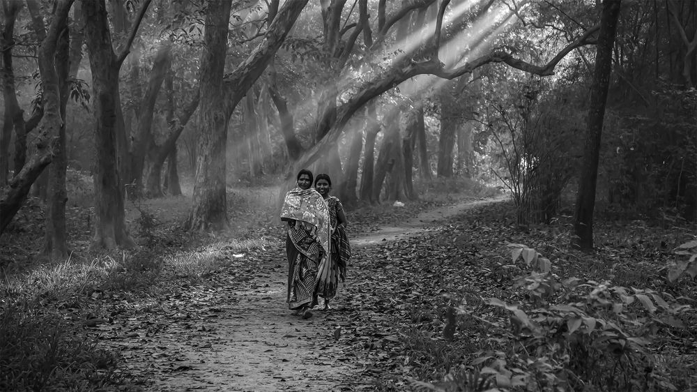 Photograph by Pratik Chaudhury