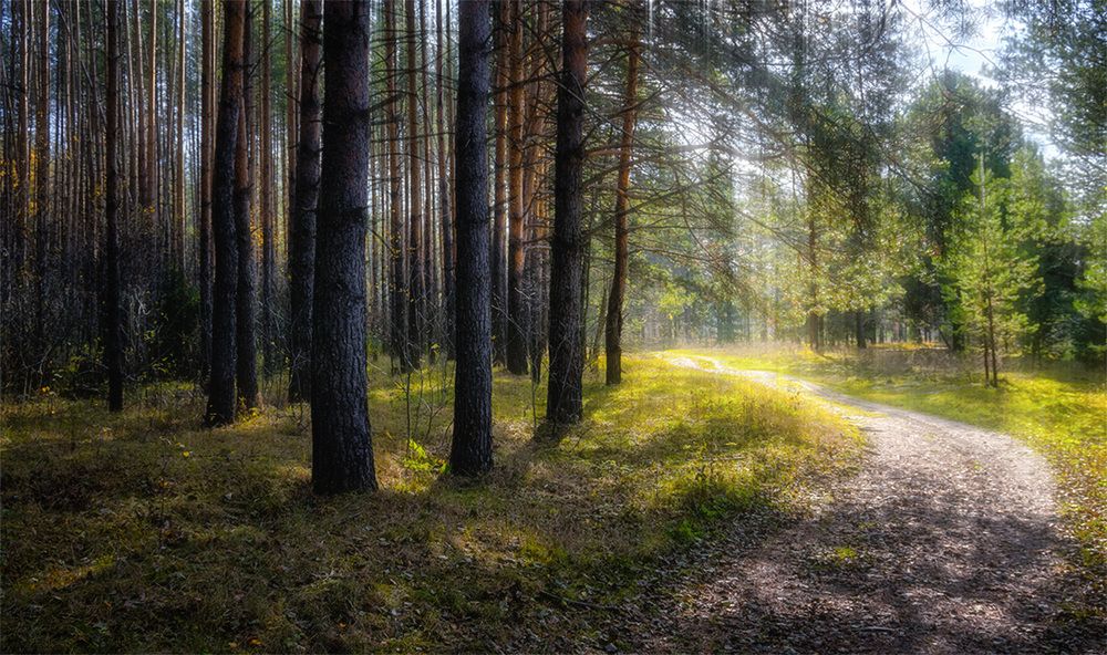 Photograph by Владимир