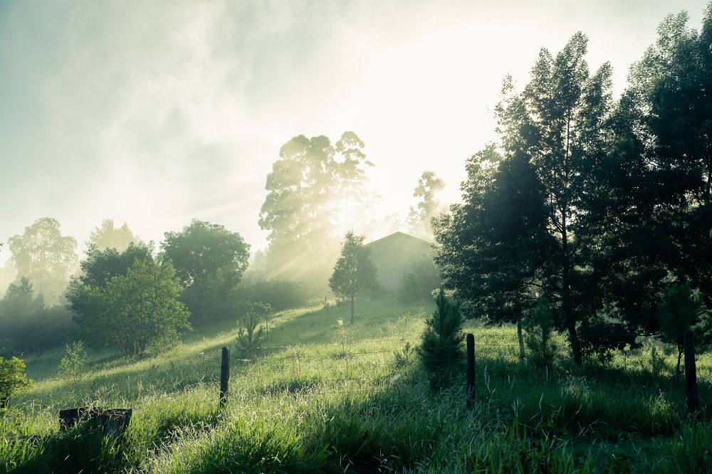 Photograph by Rodrigo Silveira