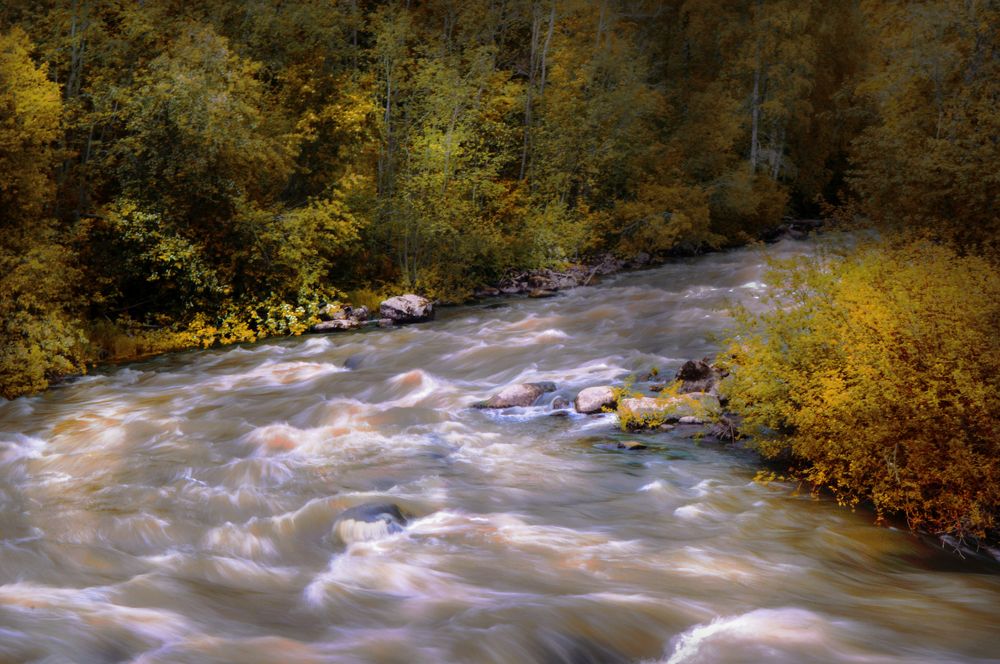 Photograph by Екатерина Казарцева