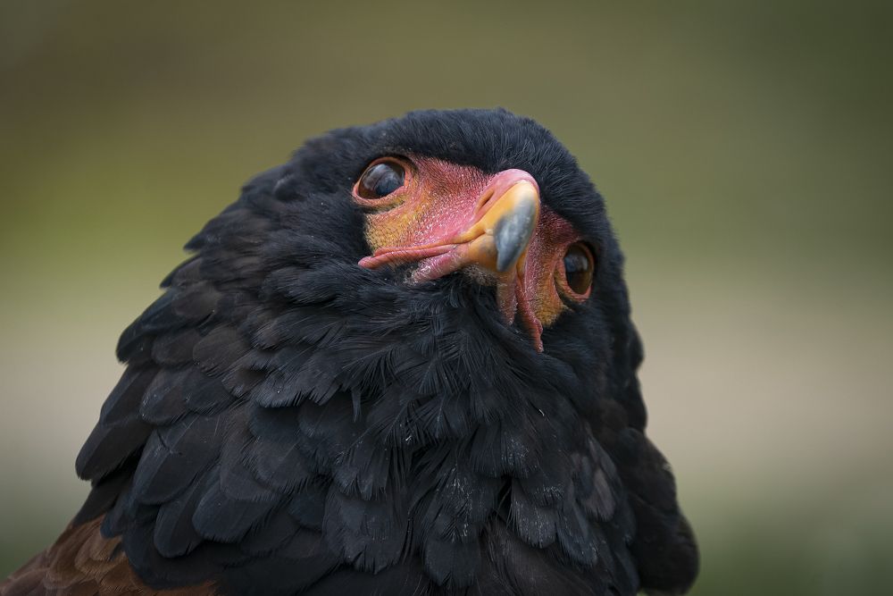 Photograph by Jesus Frias