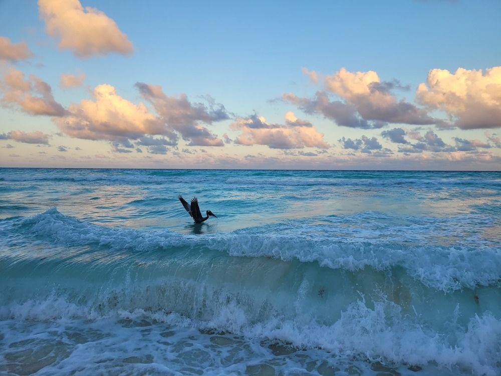 Photograph by Валерия Гуртовая