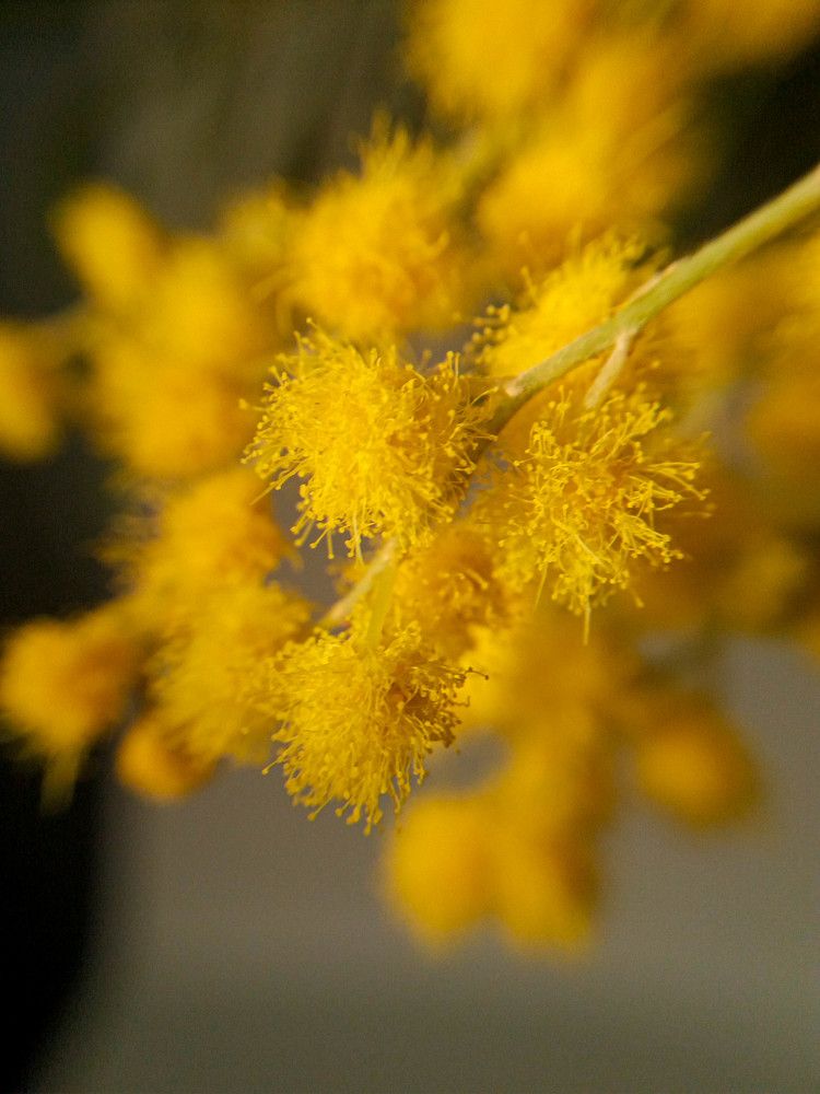 Фотография автора Оля Алехнович