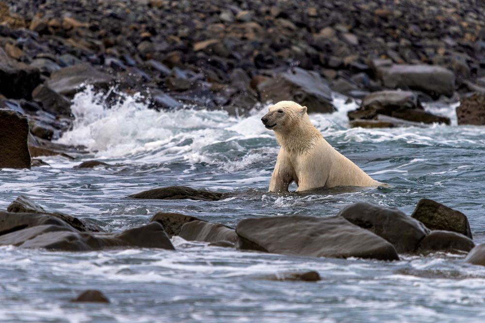 Хороша водичка.