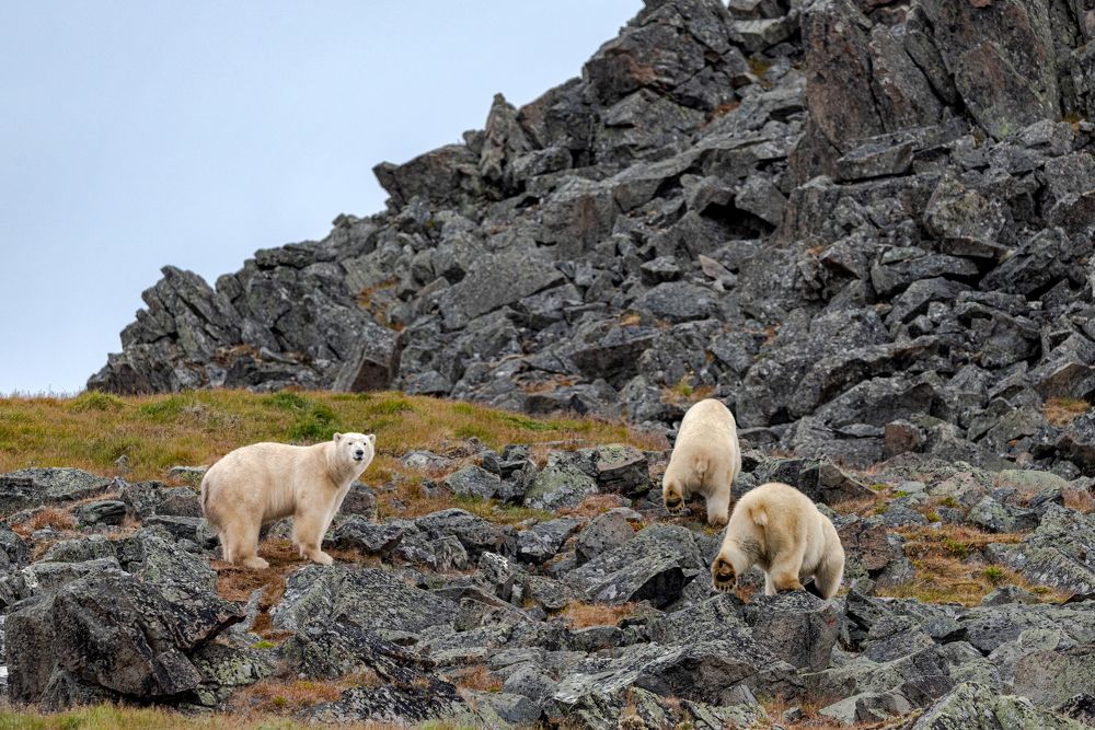 На прогулке