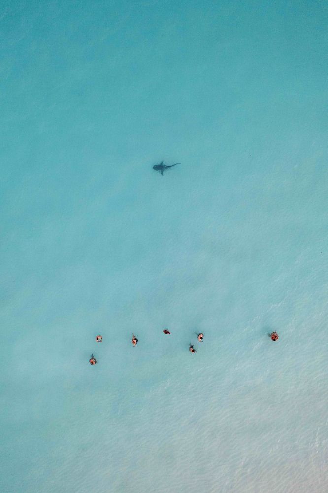 Photograph by Francesca Franchini