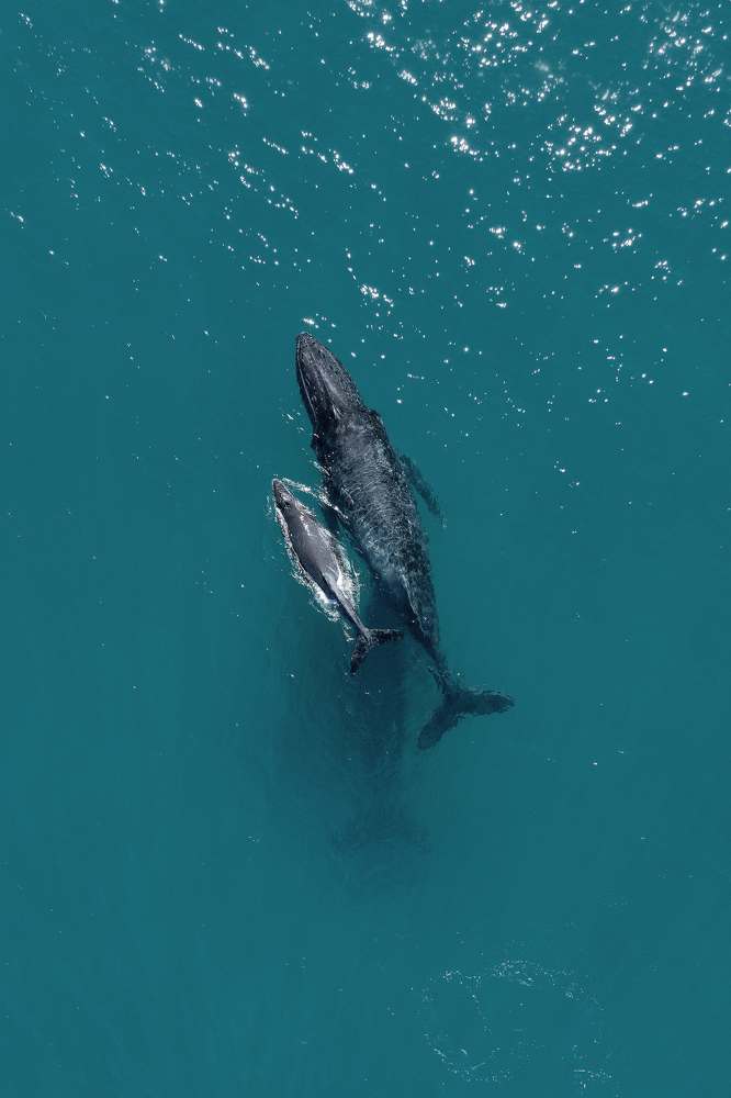 Photograph by Francesca Franchini