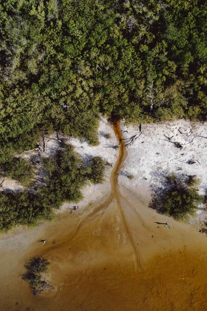 Photograph by Francesca Franchini