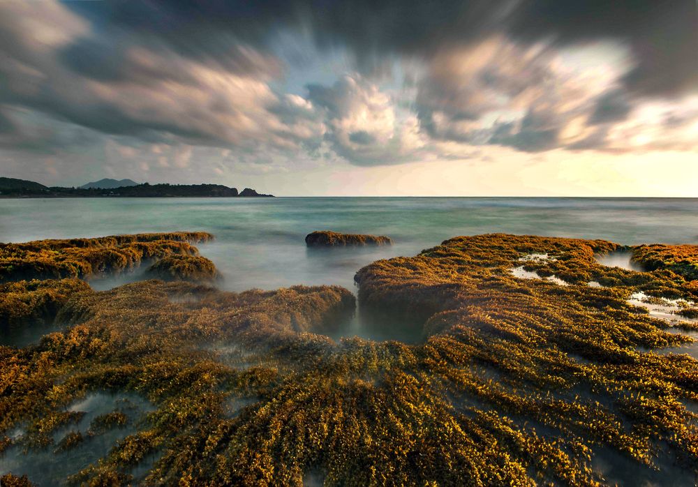 Photograph by Le Chau Dao