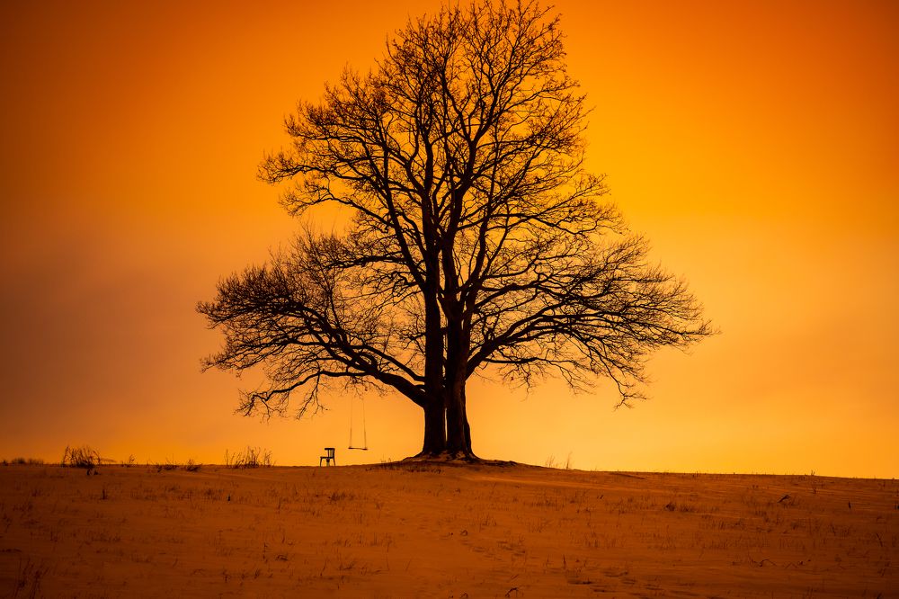 Фотография автора Евгений Добряков