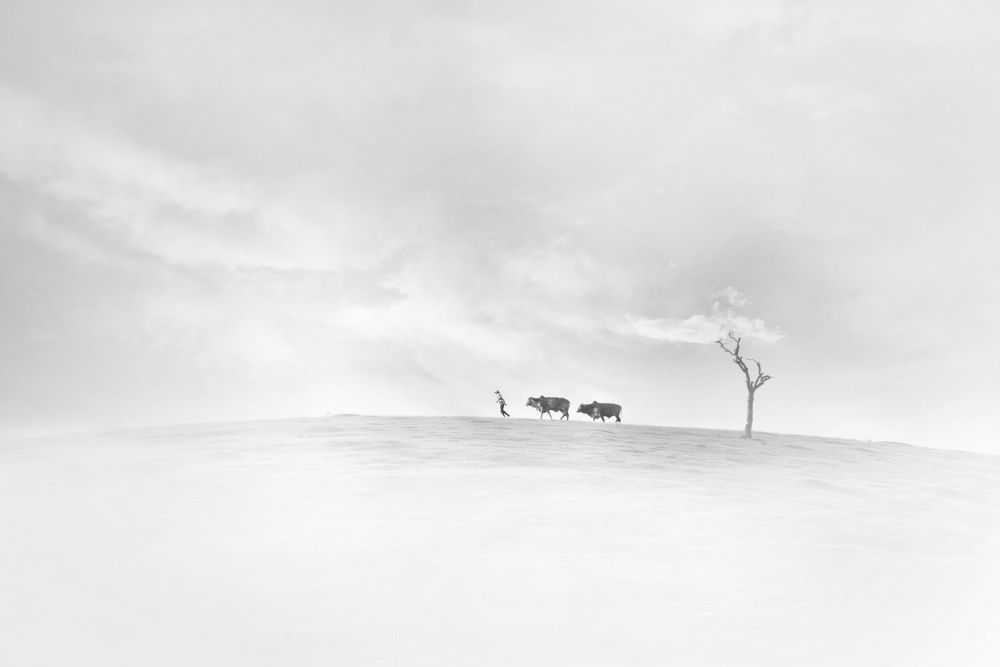 Фотография автора Le Nhat Quang